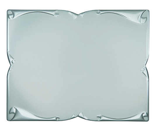 targa alleghe argento